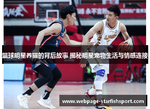 篮球明星养猫的背后故事 揭秘明星宠物生活与情感连接
