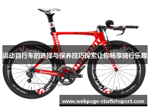运动自行车的选择与保养技巧探索让你畅享骑行乐趣