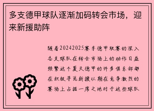 多支德甲球队逐渐加码转会市场，迎来新援助阵